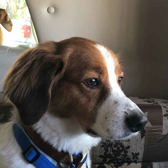 Meet your Posher, Jennifer - Picture 2 of 3